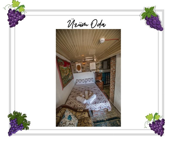 Üzüm Oda