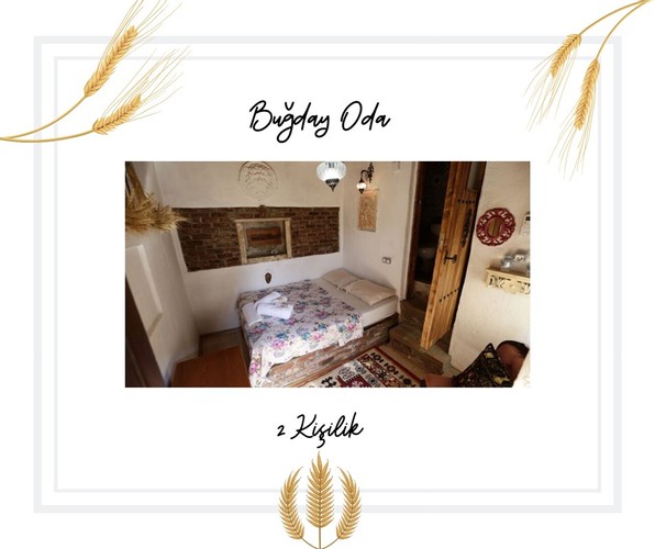 Buğday Oda