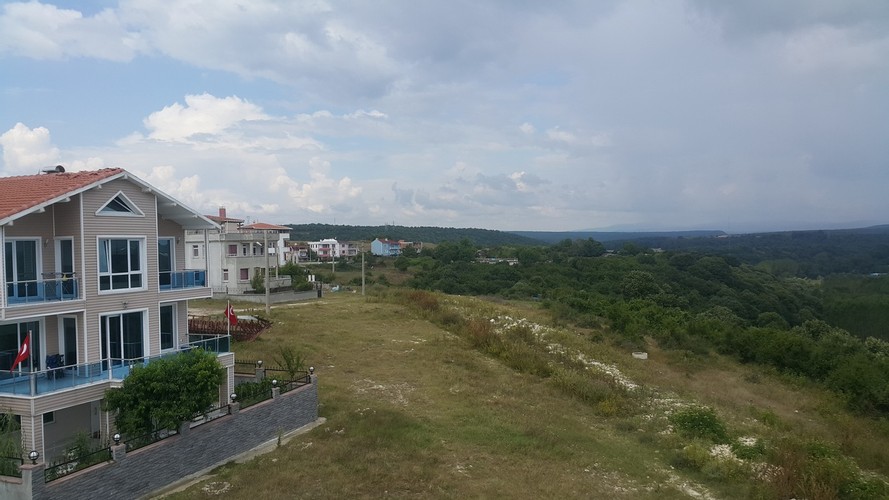 River And Forest View