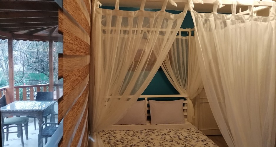 Terrace Room, Garden View (Terrace)