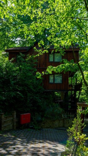 Dubleks Ağaç Ev Oda