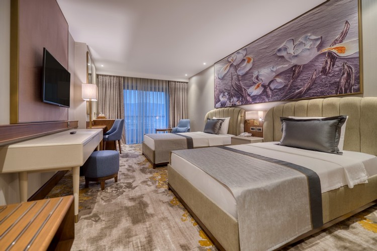 Deluxe Iki Ayrı Yataklı Oda