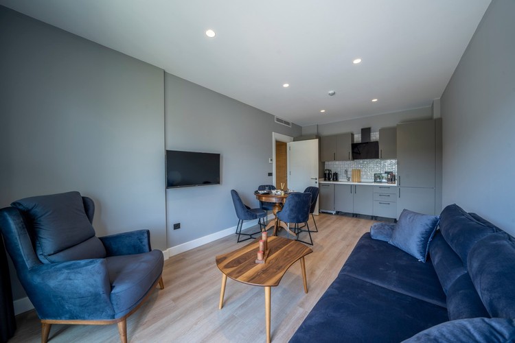 Suite 1+1 Apartment Room (Kitchen)