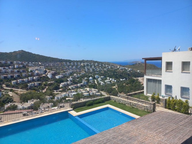 Junior Suit Daire Oda