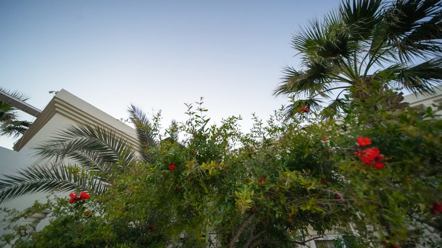 Superior Oda, Kara Manzaralı