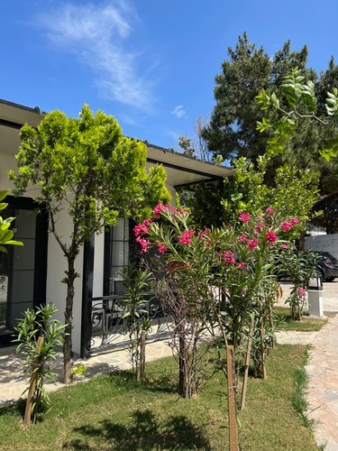 Bahçeli Oda, Bahçe Manzaralı (3 Kişilik)