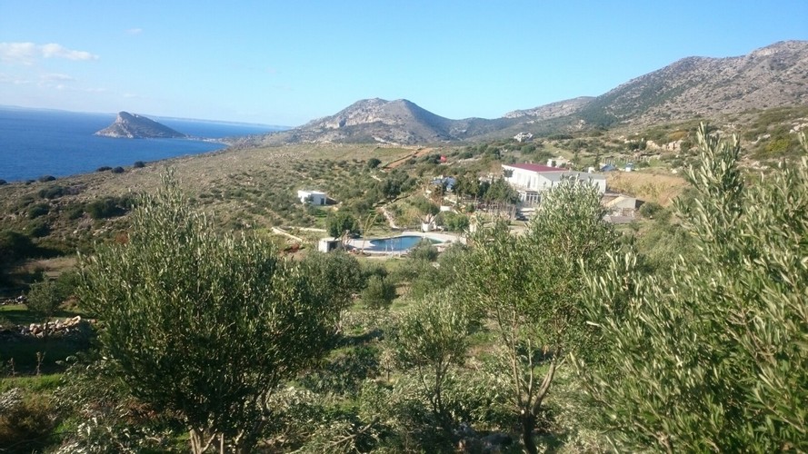 Comfort Oda, Dağ Manzaralı