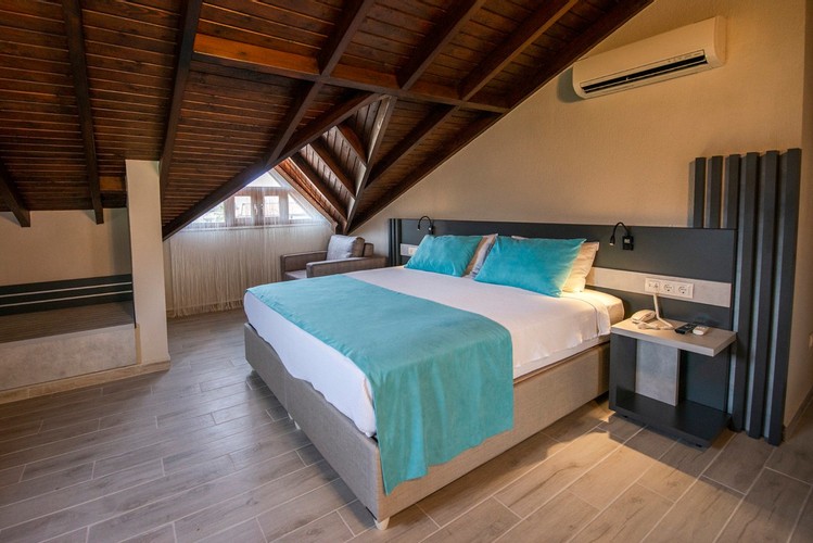 Panaromic Roof Penthouse Room