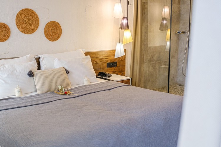 Terrace Suite Room (Terrace)