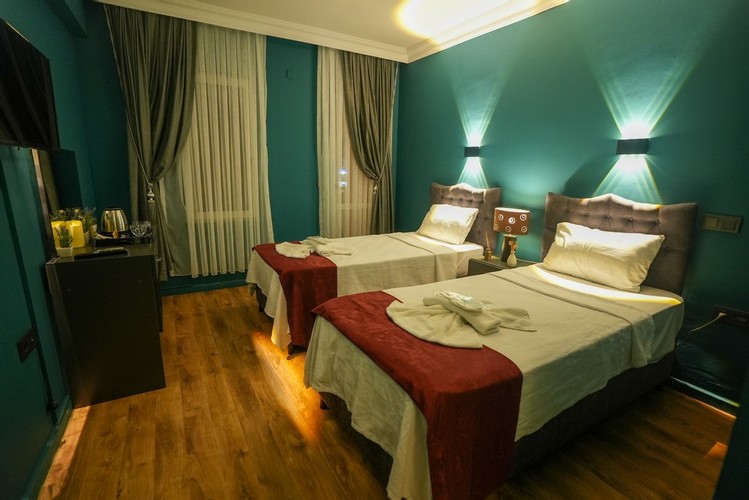 Deluxe Iki Ayrı Yataklı Oda