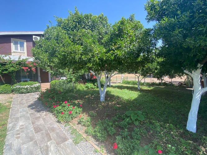 Deluxe Room, Garden View