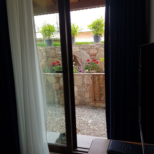 Standard Room, Garden View