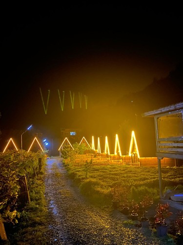 Bungalow Honeymoon Suite Room