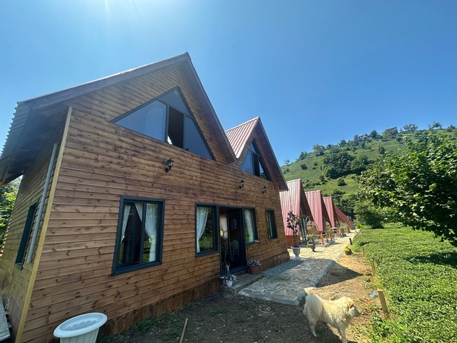 Bungalow Suite Room (Jacuzzi)
