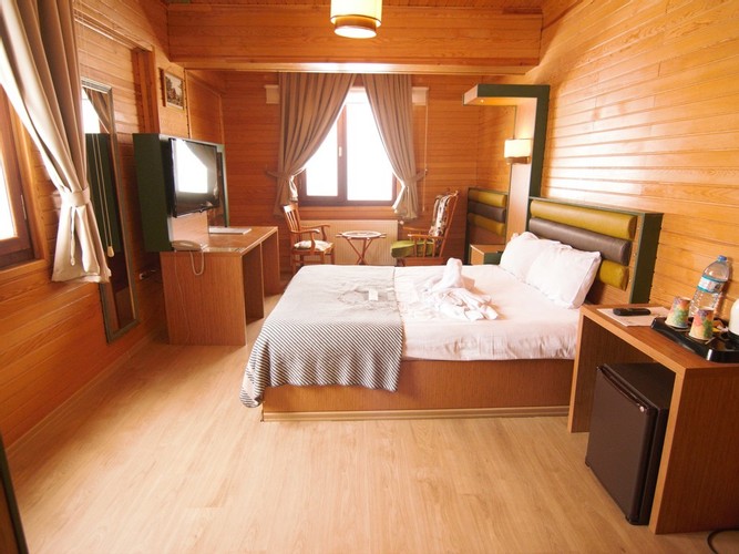 Standard Room, Mountain View