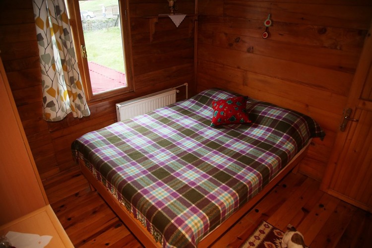 Standard Room, Mountain View