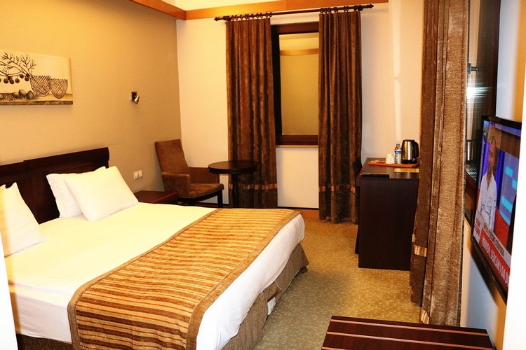 Standard Room, Mountain View