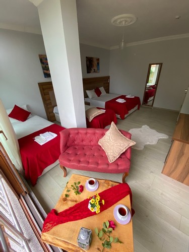 Aile Odası, Orman Manzaralı