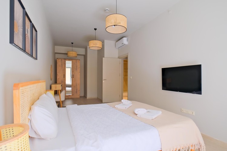 Deluxe Apart Apartment Room (Terrace)