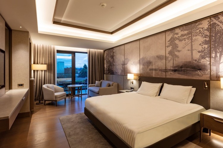 Deluxe Superior Room (Terrace)