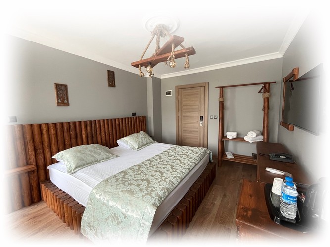 Double Standard Room