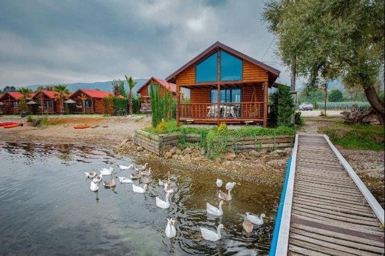 Bungalow Suite Room, Lake View