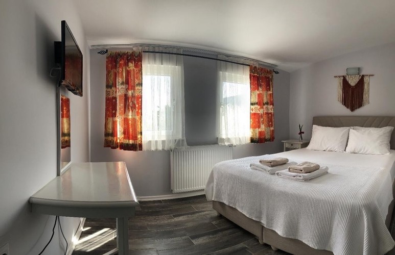 Standard Room, Mountain View