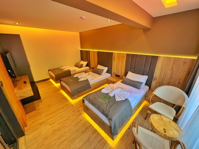 Standard Room, Mountain View (3 Person)