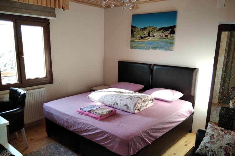 Standard Room, Mountain View