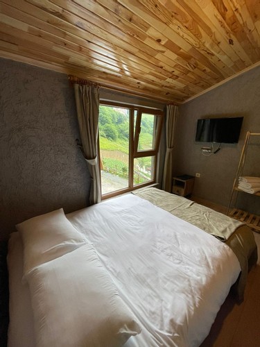 Standard Room, Forest View