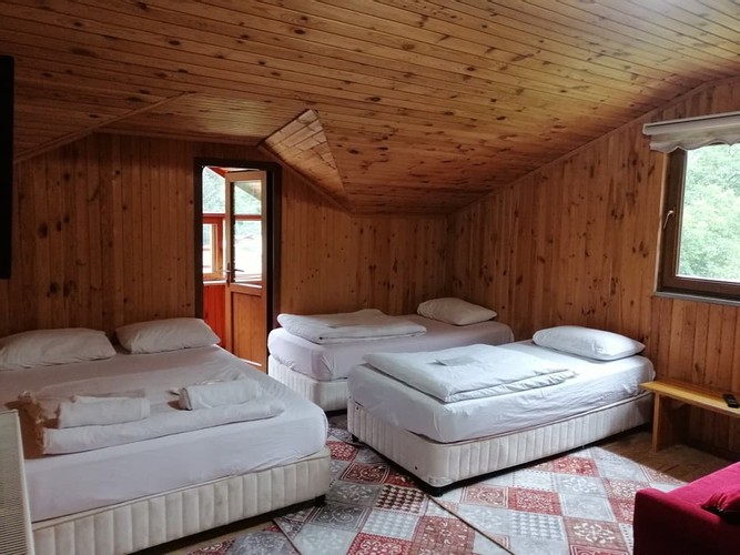 Standard Room (1 Person)