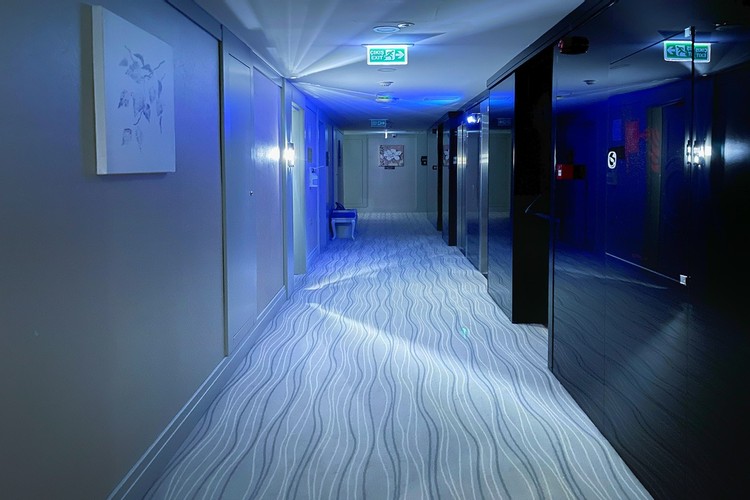 Deluxe Superior Room