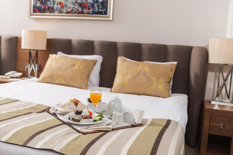 Standard Room, Mountain View