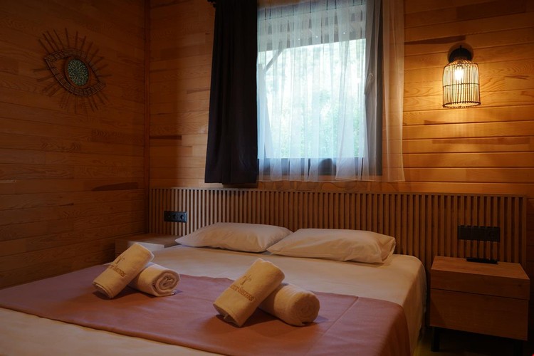 Economy Room, Mountain View