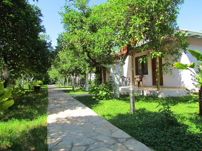 Family Room, Garden View