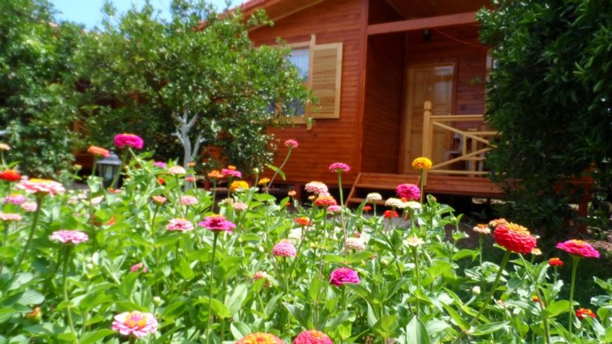 Family Bungalow Room