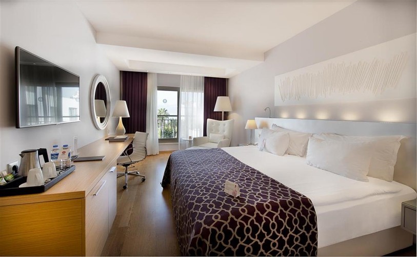 V Casual Şehir Manzaralı Oda (1 Kişilik)