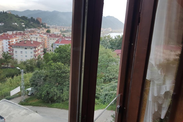 Standard Room, Mountain View