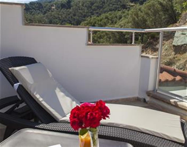 Junior Suite Room, Mountain View