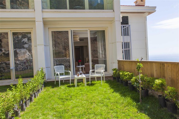 Standard Room, Mountain View