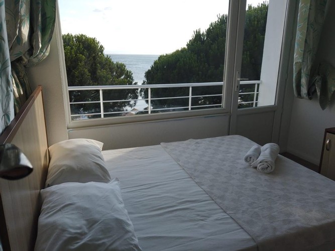 Standard Room, Garden View