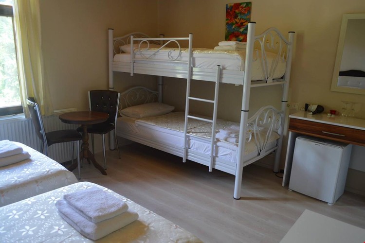 Standard Room, Mountain View