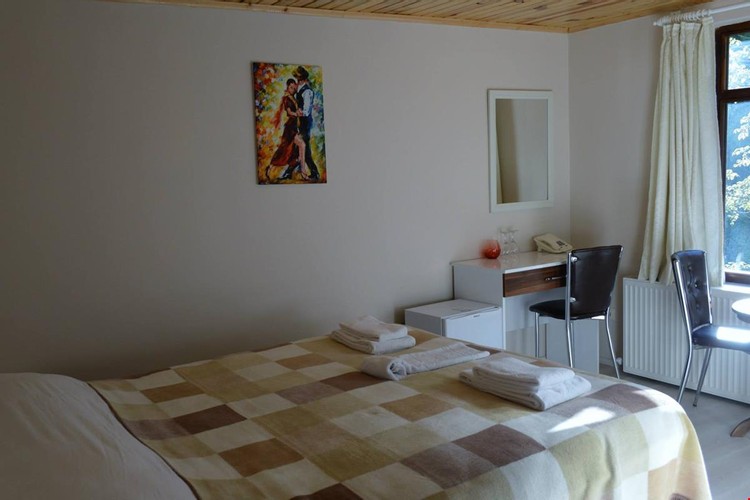 Standart Oda, Dağ Manzaralı