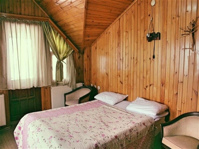 Standard Room, Mountain View