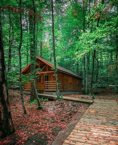 Family Bungalow Villa Room