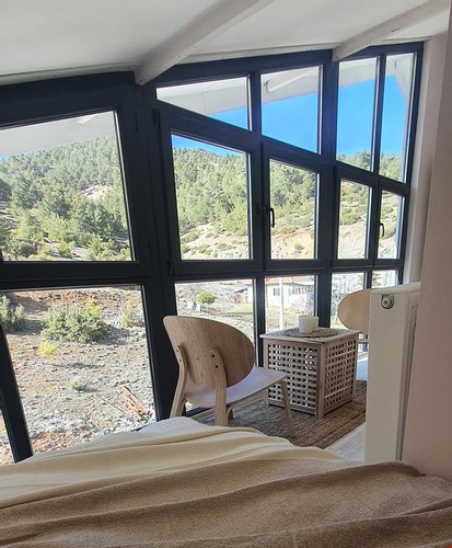 Standart Oda - Orman Manzaralı