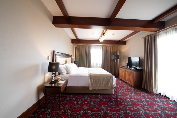 Executive Suit Oda, Bahçe Manzaralı