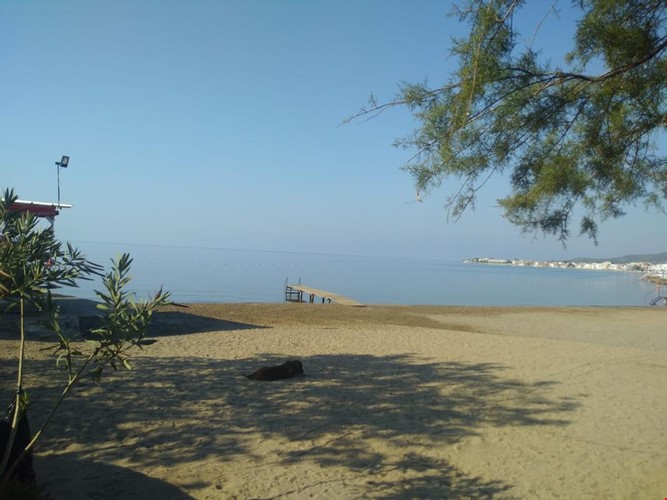 Standart Oda, Dağ Manzaralı