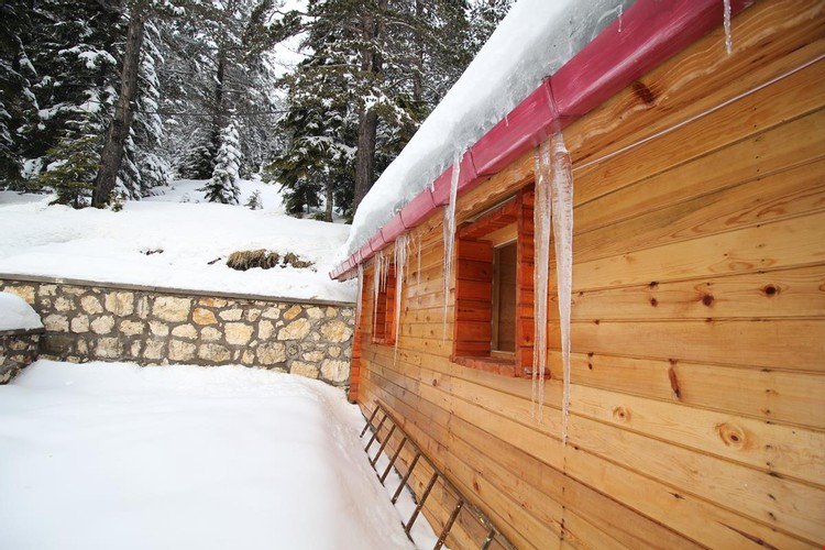Family Bungalow Villa Room
