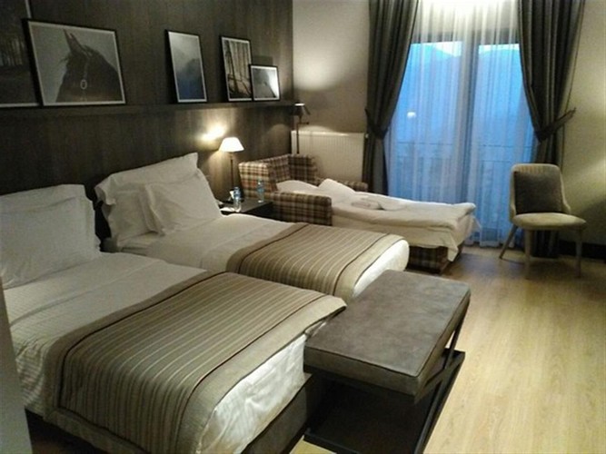 Junior Suite Room